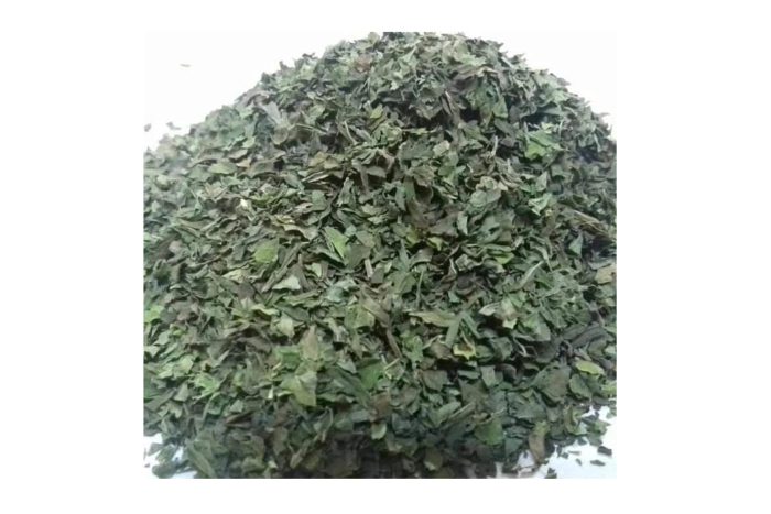 SPEARMINT